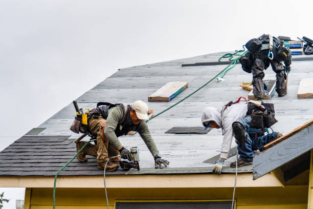 Professional Roofing technician working in Lamoure, ND